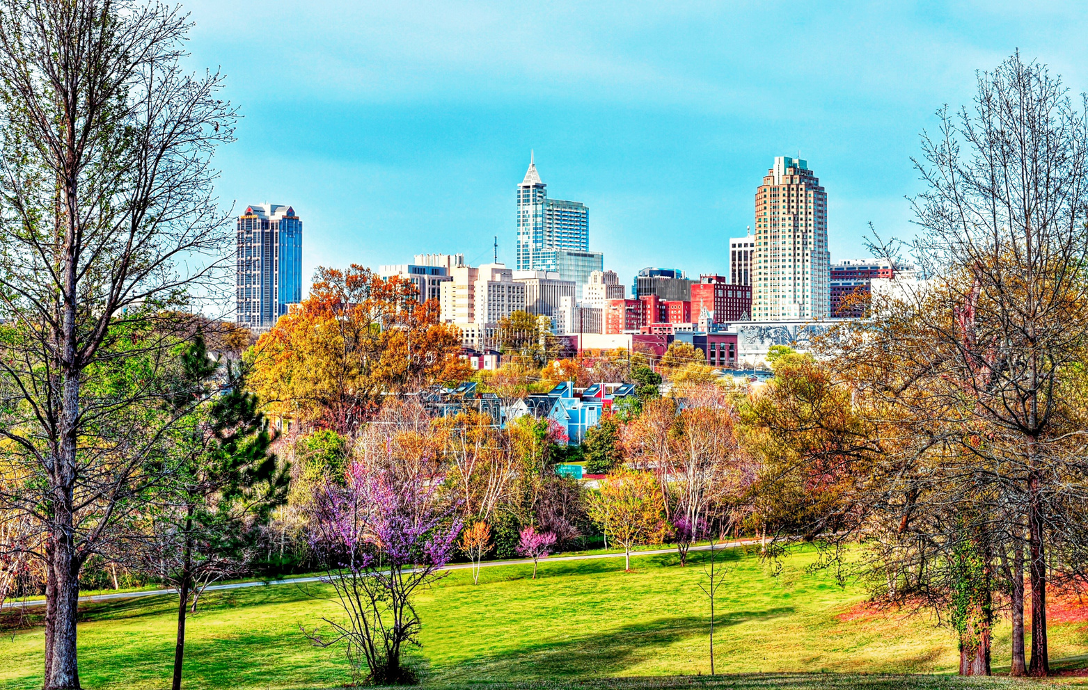 Raleigh North Carolina Skyline